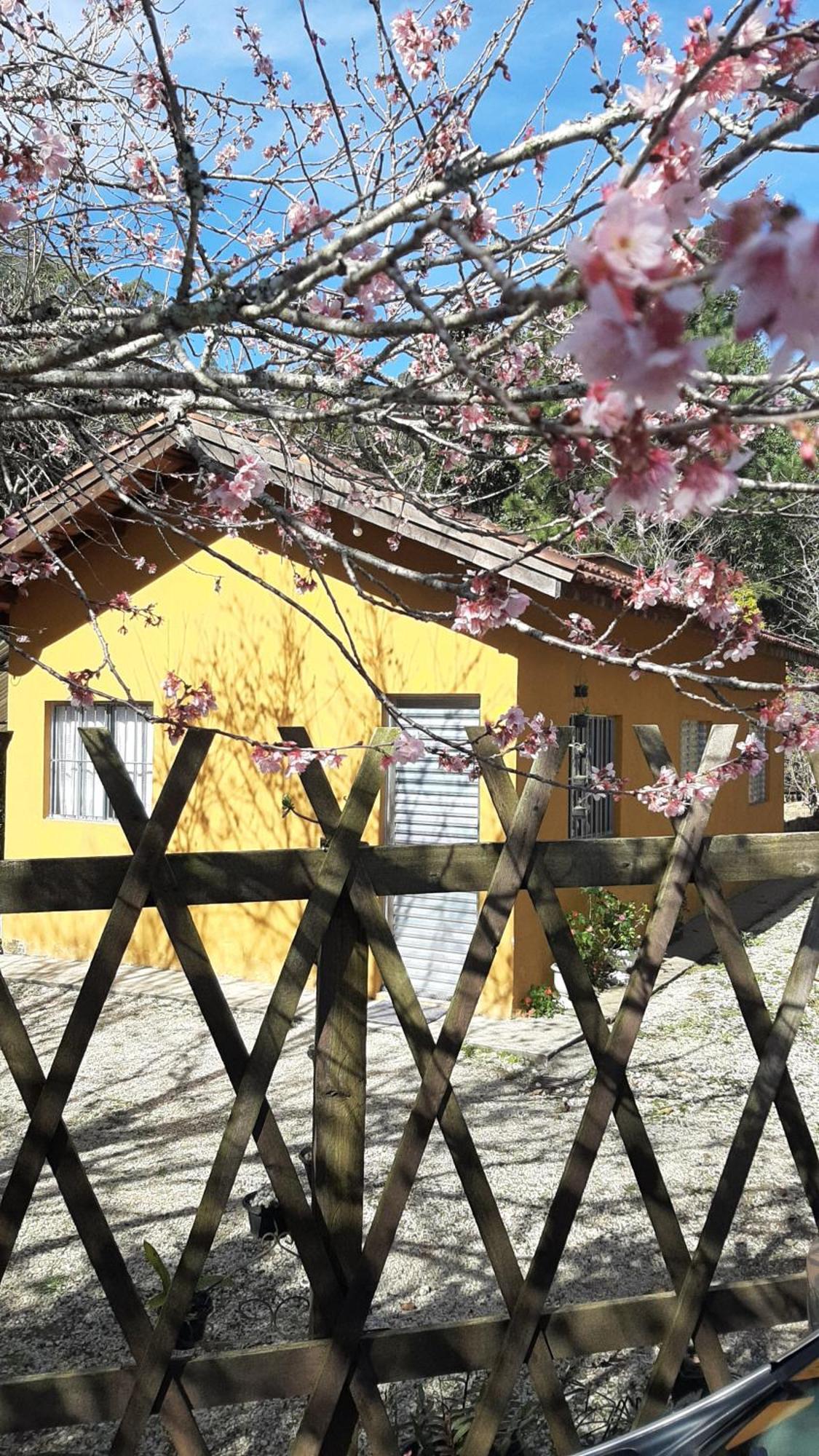 Santo Antônio do PinhalCasa Kiiro, Um Ambiente Tranquilo E De Sossego.别墅 外观 照片